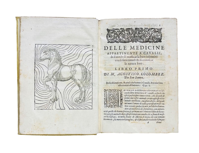Horse. COLOMBRE. Del modo di conoscer la natura de cavalli et le medicine appartenente  [..]