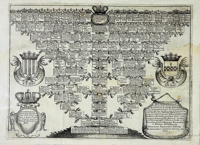 Family Tree. DESBOIS - CALINUS. Opus Genealogicum … Nobilissimo Genuensium  [..]