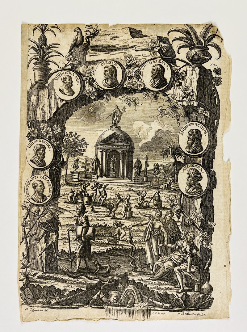 Medicine. WINCKLER. Allegoria della Medicina.  - Asta RARE BOOKS, AUTOGRAPHS, MAPS  [..]