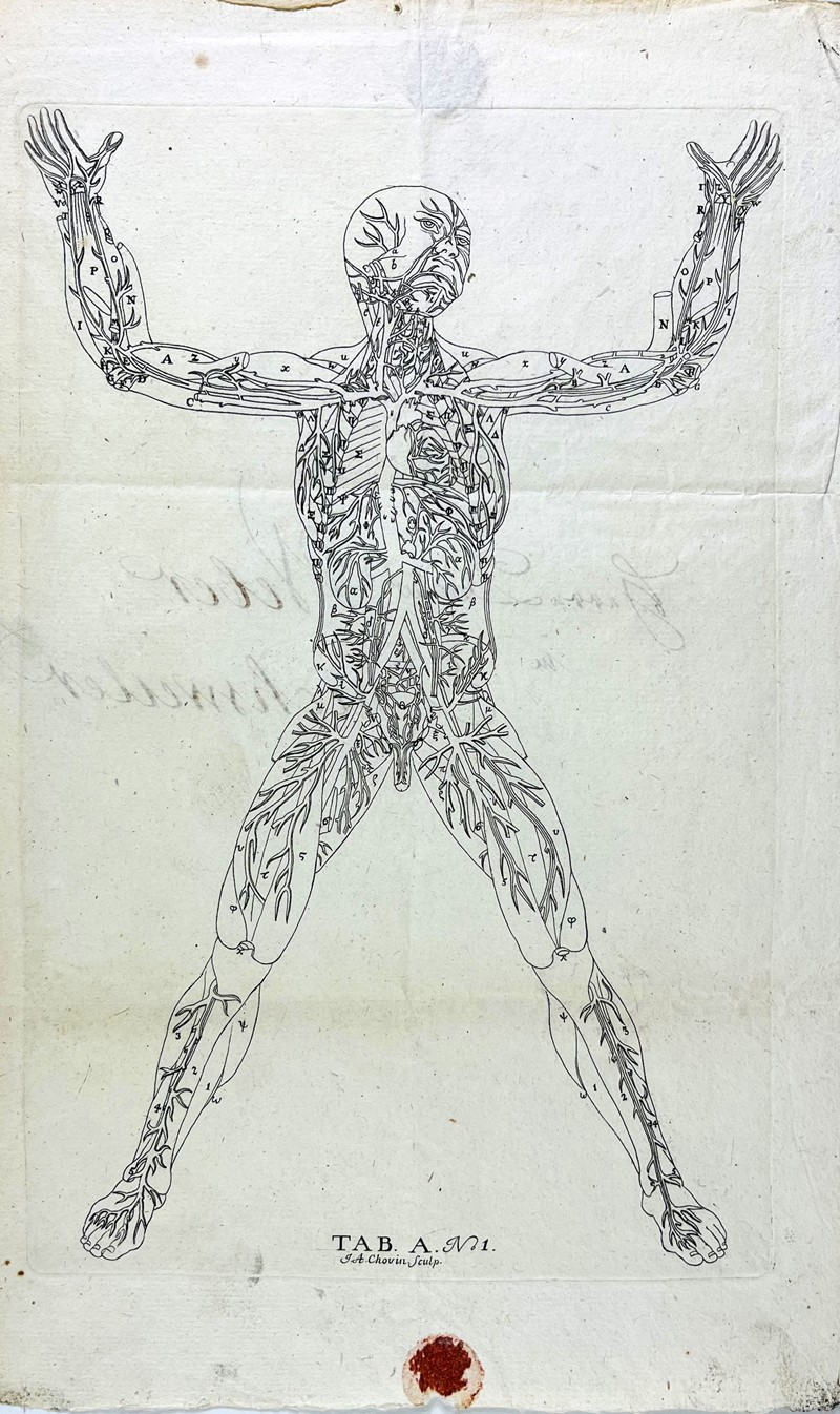 Medicine Print. CHOVIN. Blood Circulatory System.  - Asta RARE BOOKS, AUTOGRAPHS,  [..]