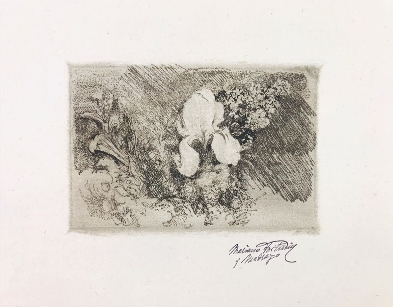FORTUNY. Flowers.  - Auction RARE BOOKS, PRINTS, DOCUMENTS and DRAWINGS. - I - Bado  [..]