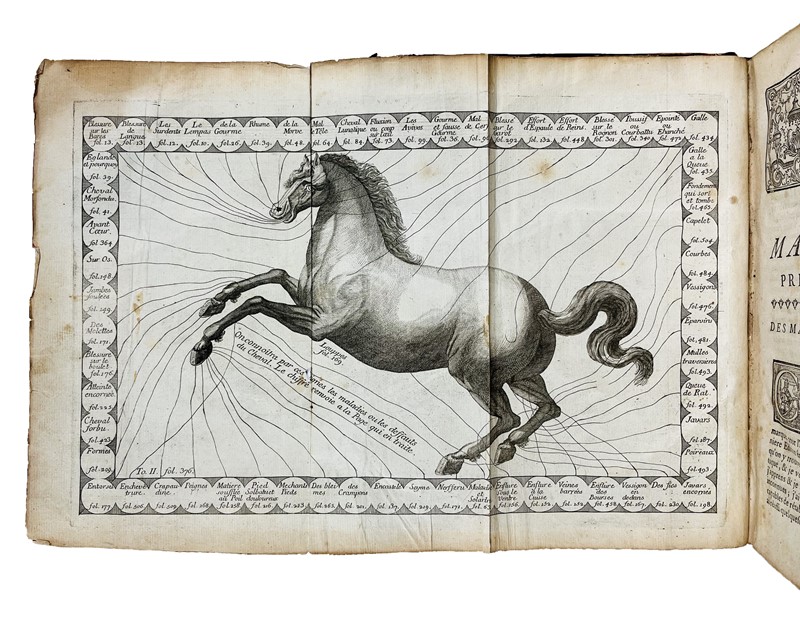 Horse. DE SOLLEYSEL. Le parfait Marchal.  - Auction RARE ANTIQUE & MODERN BOOKS  [..]