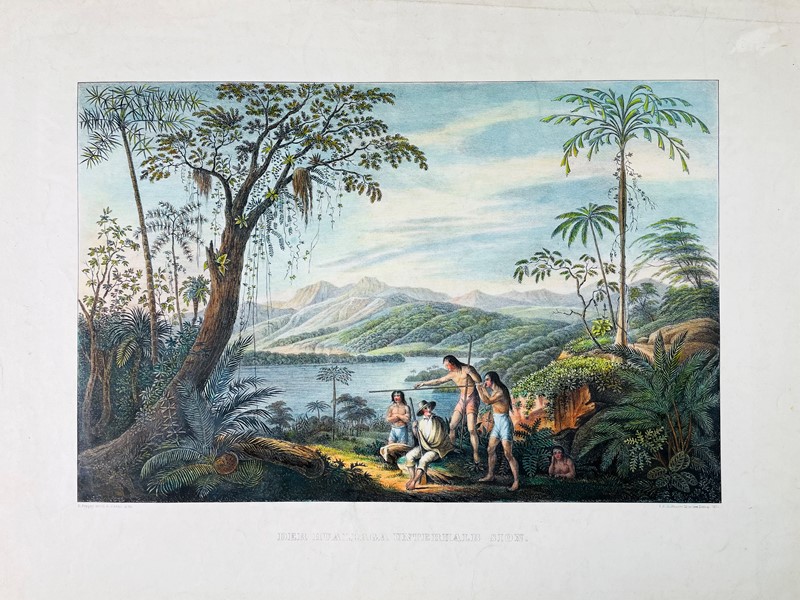 Brazil. POEPPIG. Der Huallaga unterhalb Sion.  - Auction Prints, Maps and Documents.  [..]