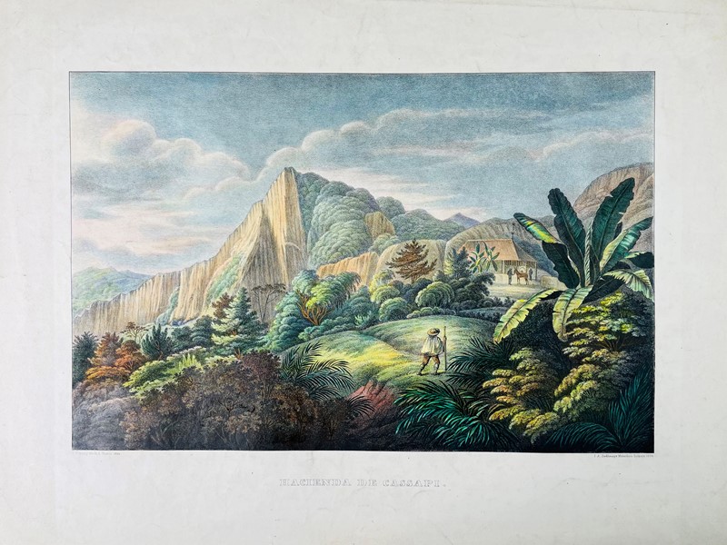 Brazil. POEPPIG. Hacienda de Cassipi.  - Auction Prints, Maps and Documents. - Bado  [..]