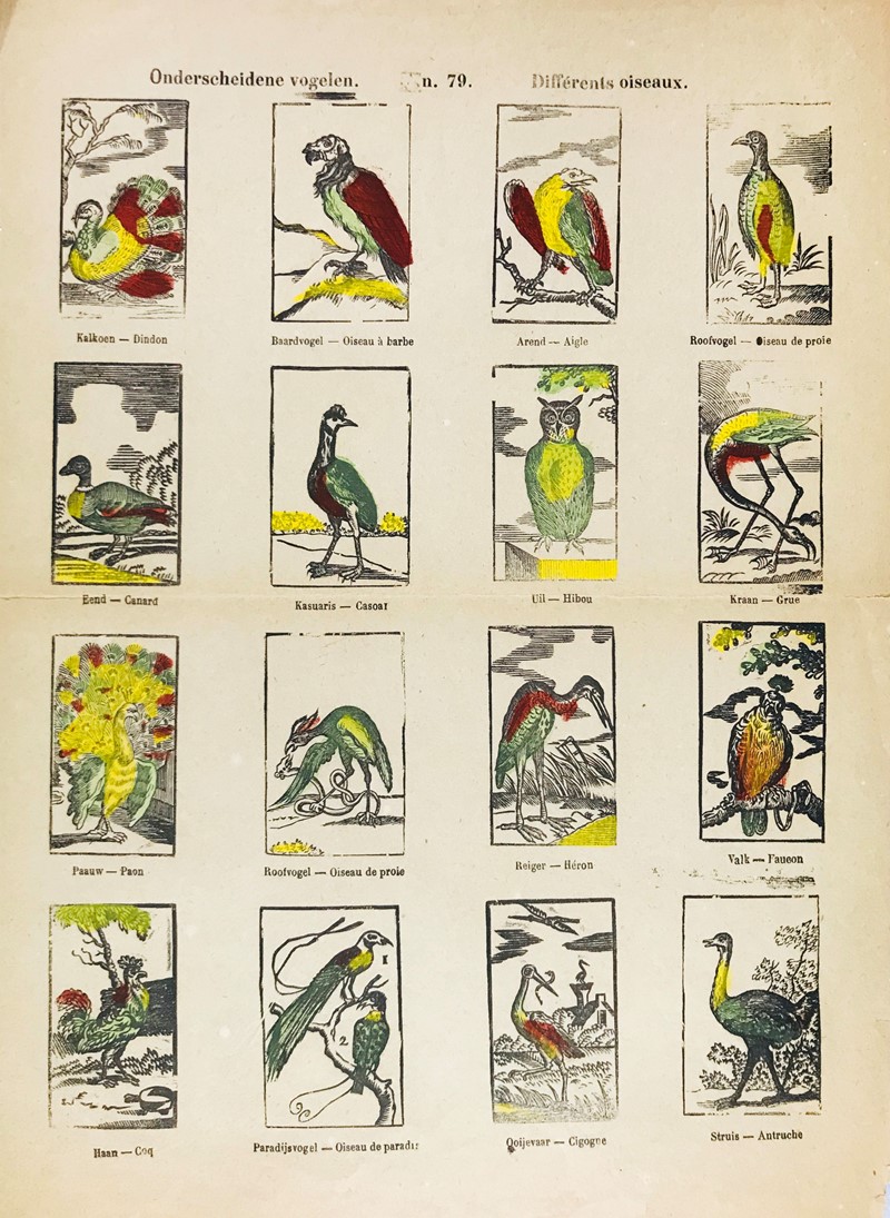 Onderscheidene vogelen. Diff&#233;rents oiseaux.  - Auction Prints, Maps and  [..]