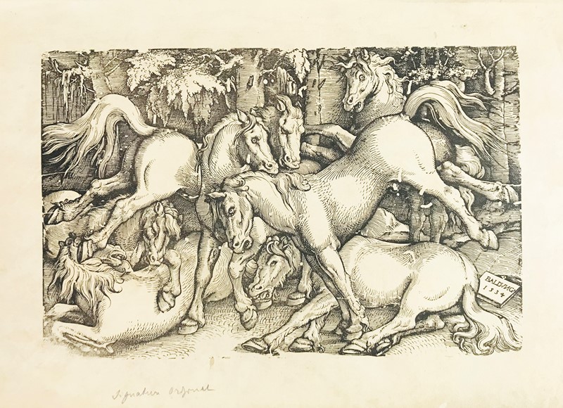 BALDUNG. Gruppo di sette cavalli.  - Auction RARE BOOKS & GRAPHIC ARTS - Bado  [..]