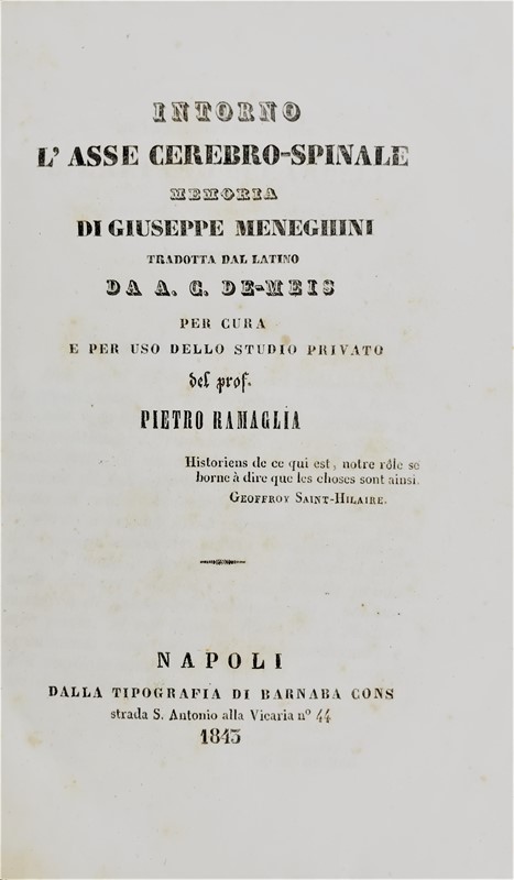 Medicine and Cure with Electric Shock. Lot of two works. MENEGHINI-CERVELLERI.   [..]