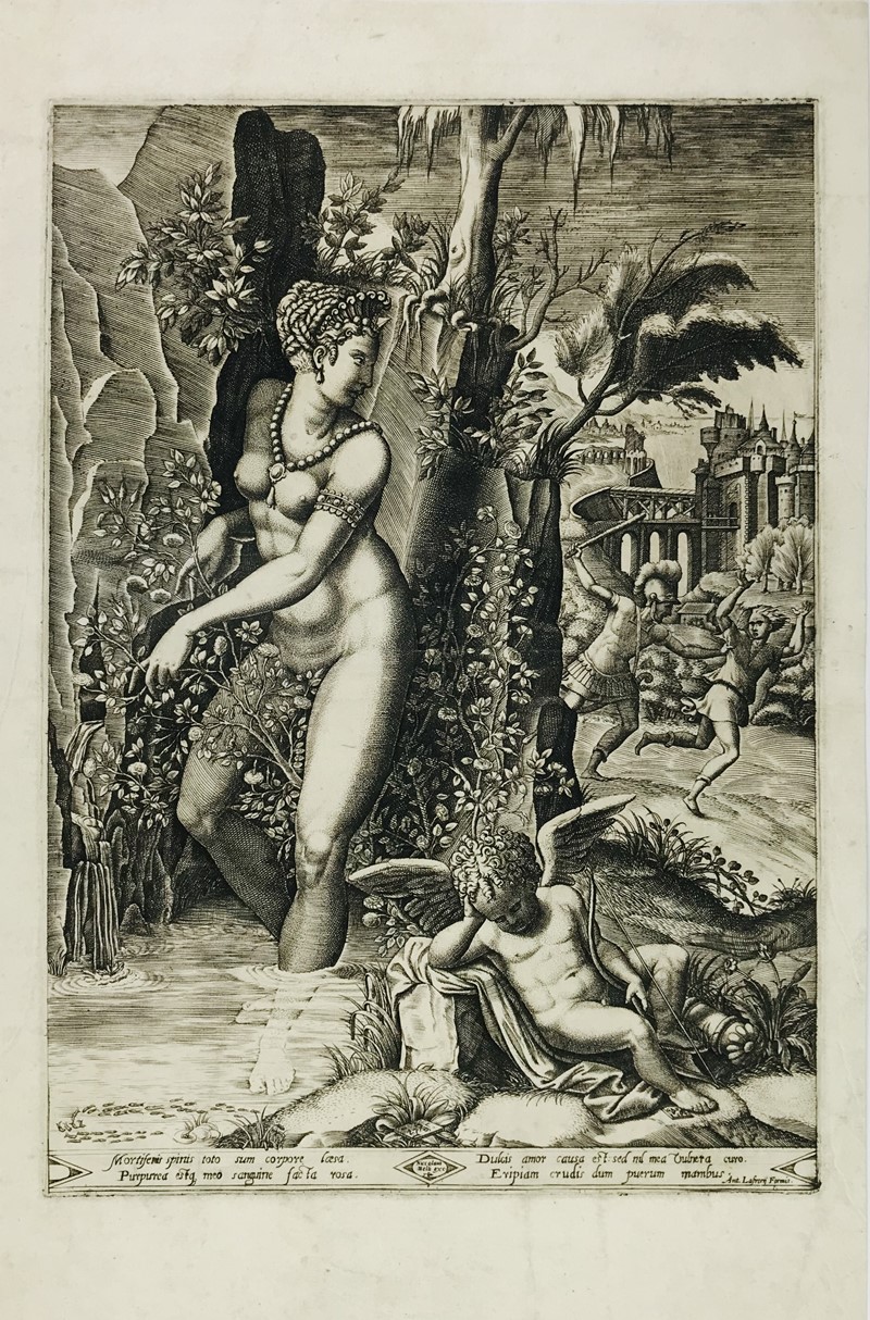 OSELLO. Venere ferita dalle spine fa nascere la rosa.  - Auction Books, Autographs,  [..]