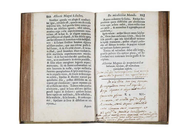 Quelle: BADO E MART AUCTIONS Bild