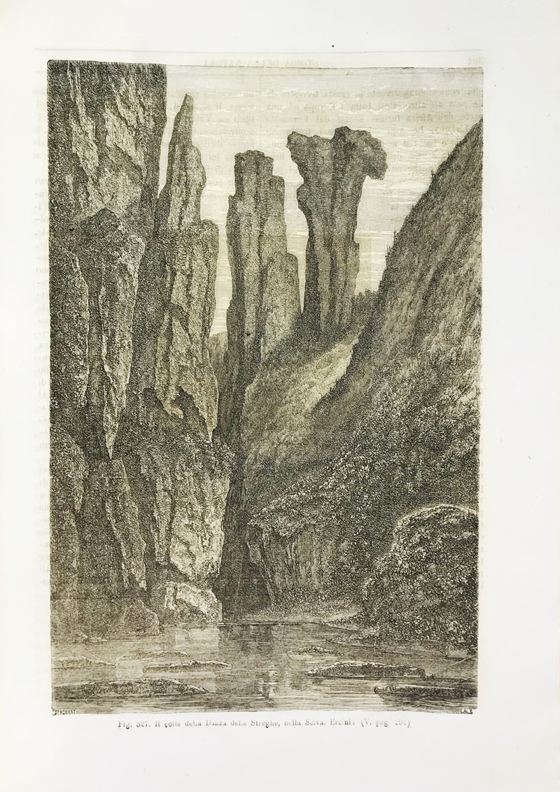 Natural History. POUCHET. Storia della natura.  (1869)  - Asta RARE BOOKS, AUTOGRAPHS,  [..]